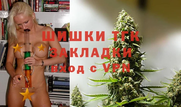 spice Вяземский