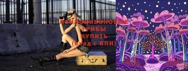 бошки Вязьма