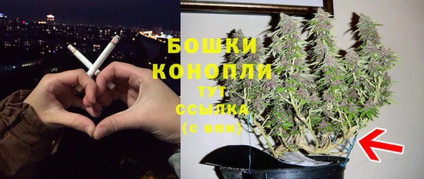 бошки Вязьма