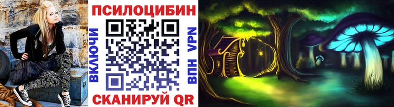 Купить где  Мценск  Псилоцибиновые грибы Magic Shrooms 