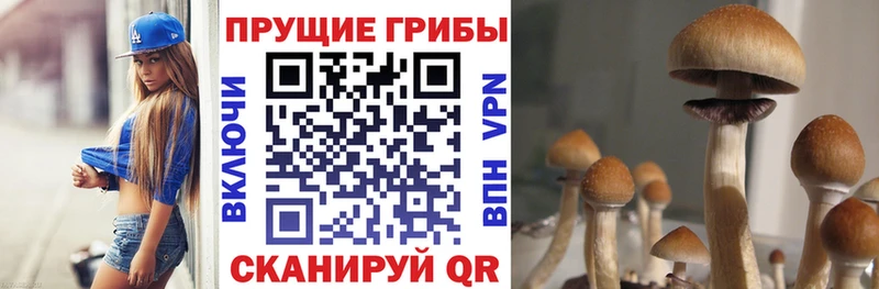 Галлюциногенные грибы MAGIC MUSHROOMS Мценск